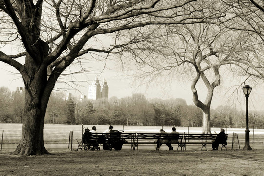 中央公園