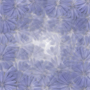 嬌嫩的花朵