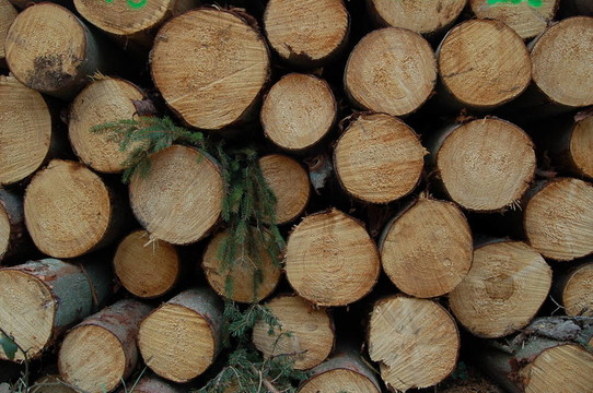 logs2