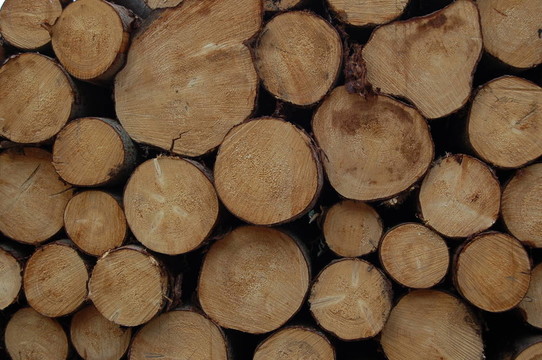 logs3