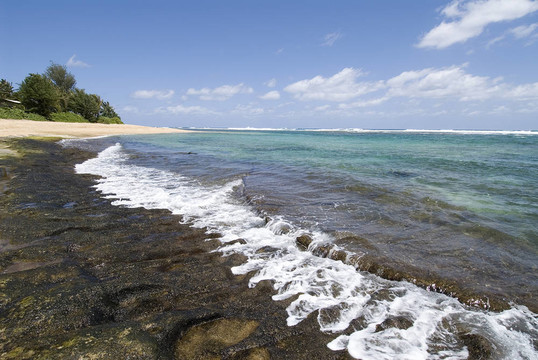 在Kauaii美麗的海灘