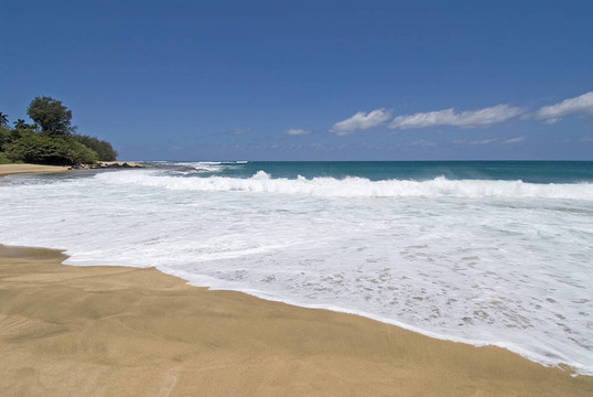 在Kauaii美麗的海灘