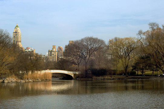 中央公園