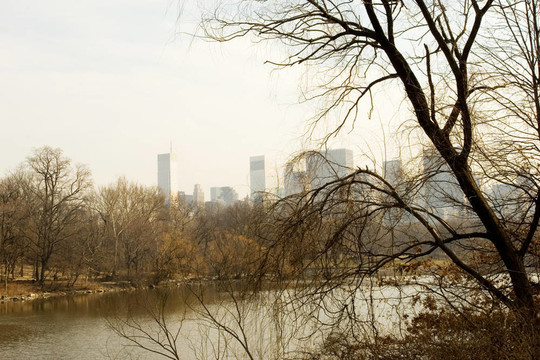 下午在中央公園