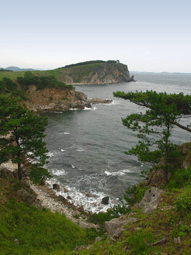 海濱松樹灣景觀