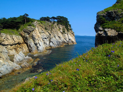 松樹島