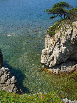 海濱韓國(guó)松巖灣