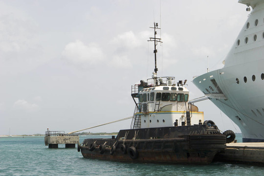 拖輪和Cruise Ship