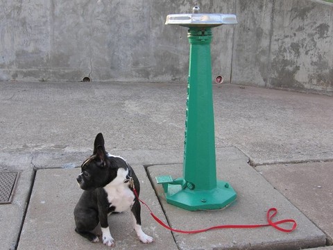 鉛2水