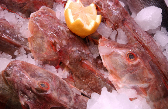 魚市場