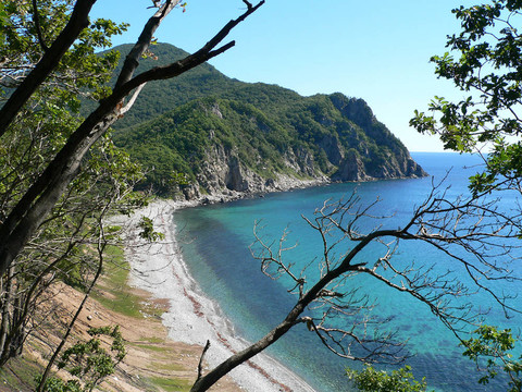 海和Cape