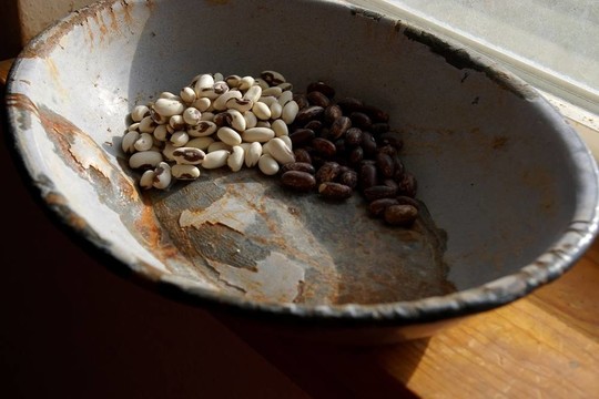 碗豆子