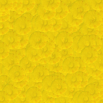 菠蘿