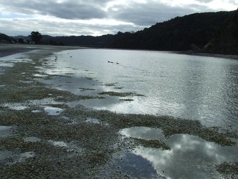 貝殼海灘和山