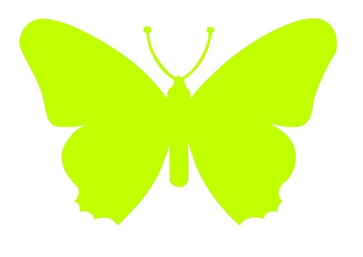 可愛(ài)的蝴蝶