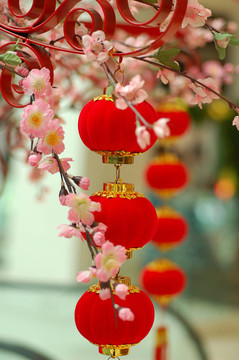 中國傳統(tǒng)紅燈籠3