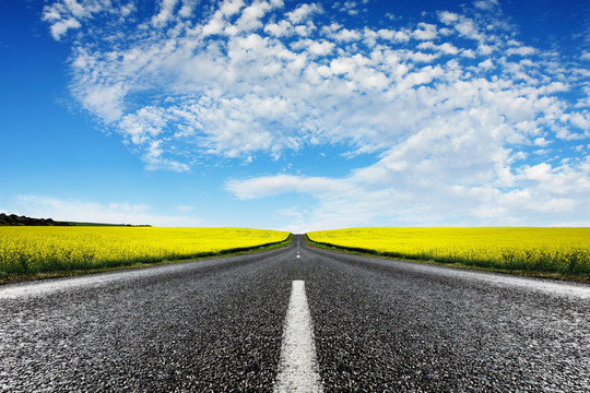 油菜的道路