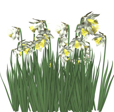 春天的花的3D