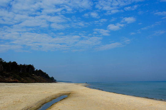 baltick海