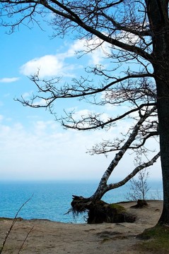 baltick海