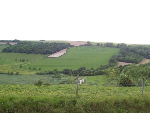 在Hills