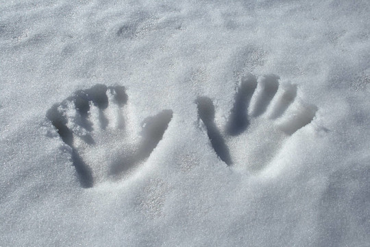 雪中的手印