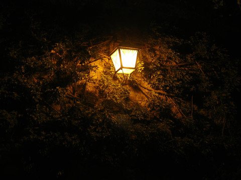 夜晚的燈光