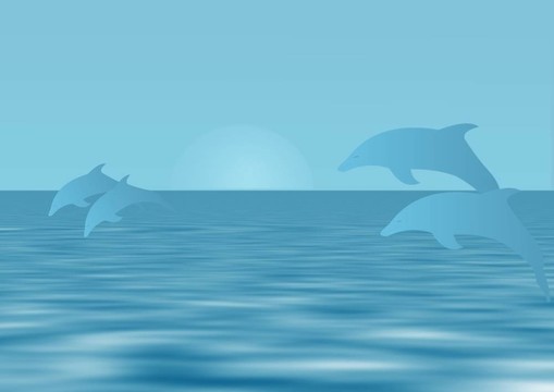 海豚