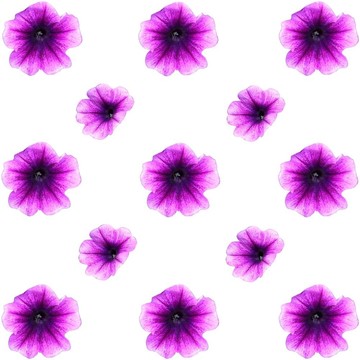 春天背景的牽?；? style=