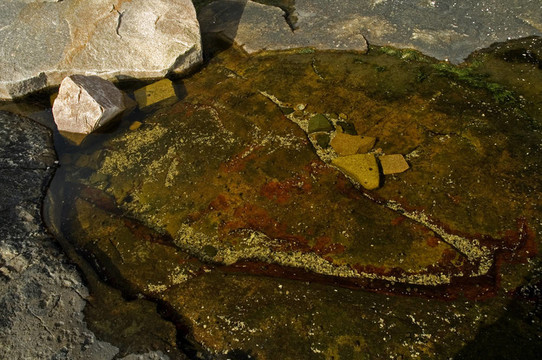 仙境小徑的看法