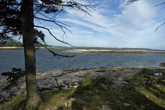 仙境小徑的看法