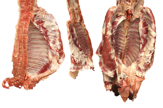 豬肉
