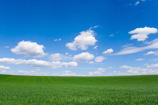 場(chǎng)在春天