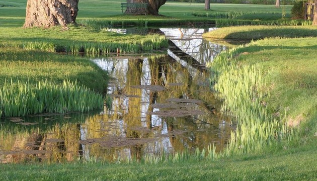 在公園里