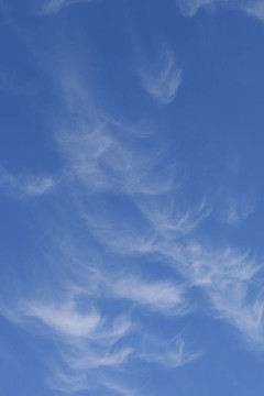 夏日的天空