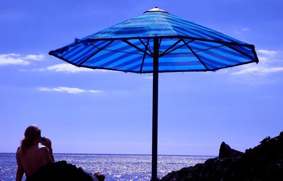 欣賞夏天