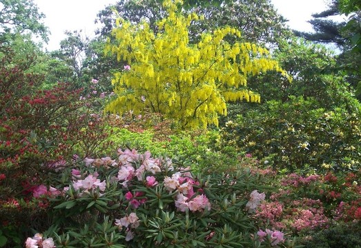 花園