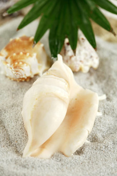暑假