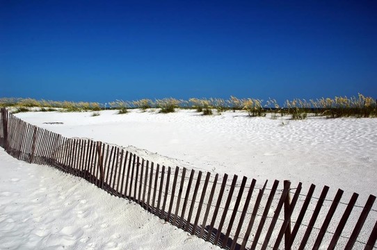 在Beach圍墻