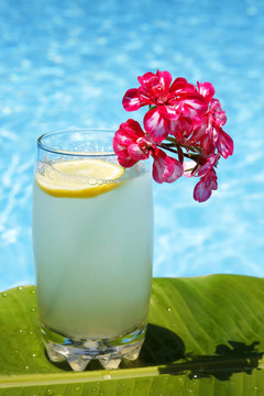 夏天的檸檬水