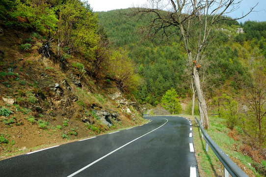 山路