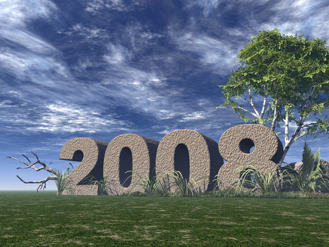 年2008