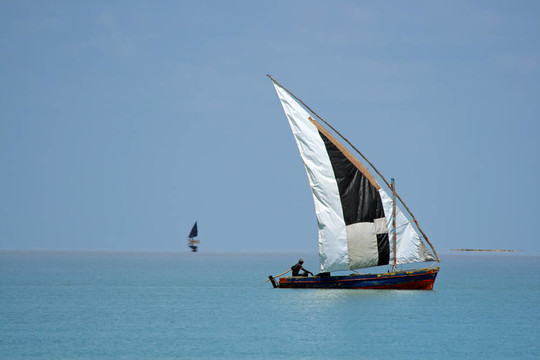 Mozambican周