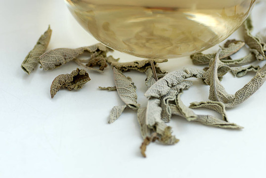 圣人茶和干圣葉