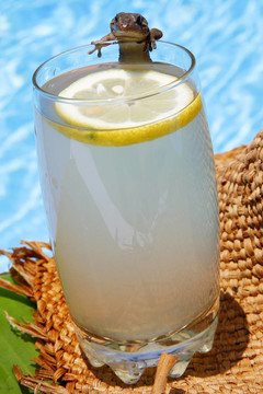 夏天的檸檬水