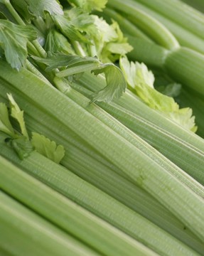 芹菜
