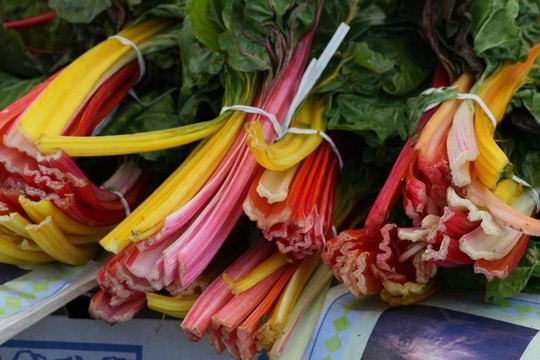 豐富多彩的甜菜
