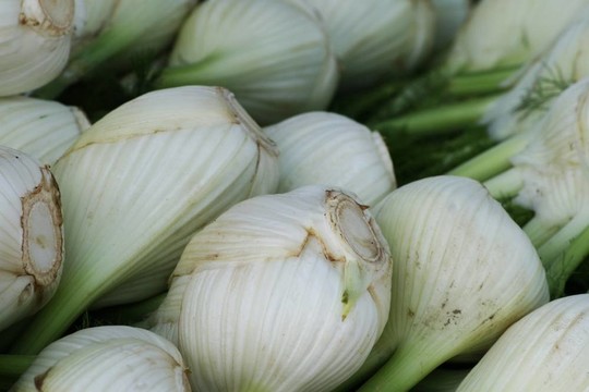 茴香球莖3