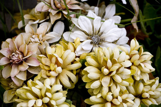 假布Flowers在第十九世紀(jì)的墳?zāi)? style=