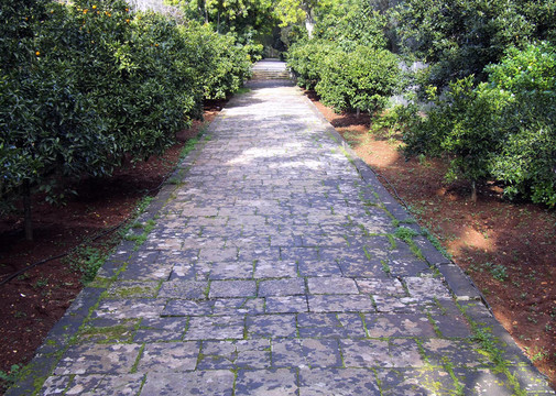 花園路徑
